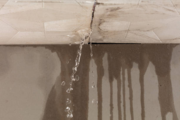 Professional Sewage Cleanup technician working in Campbell, FL
